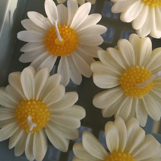 Daisy Candle