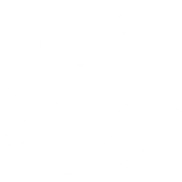 Eco-conscious & Natural